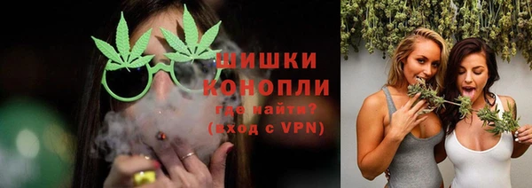 ECSTASY Дмитриев