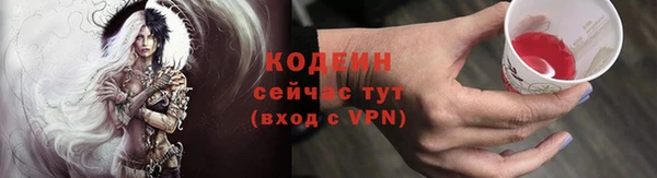 ECSTASY Дмитриев