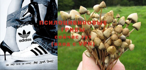 кокаин Дмитров