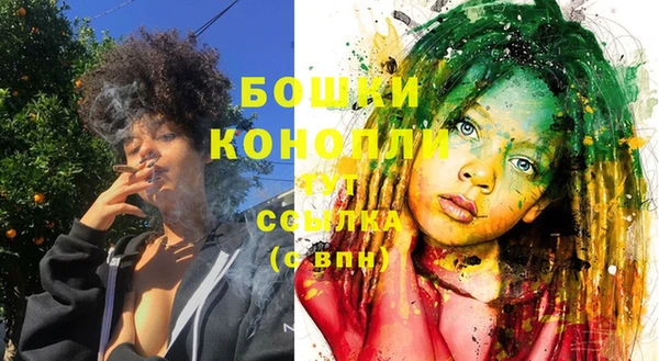 ECSTASY Дмитриев