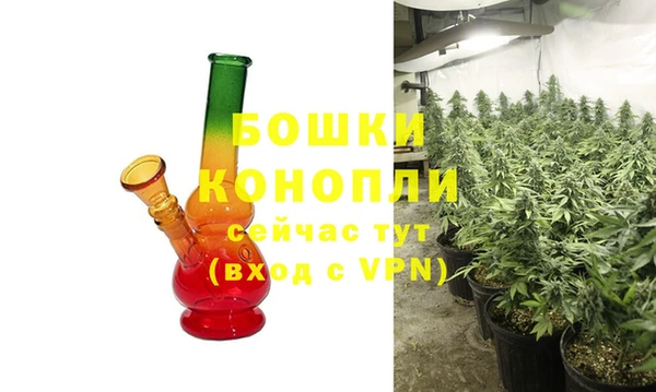 ECSTASY Дмитриев