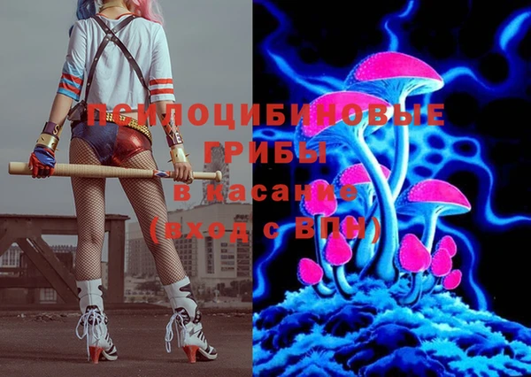 ECSTASY Дмитриев